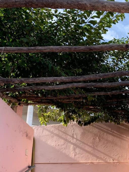 Paz Y Relax En Santa Barbara 110 Villa Icod De Los Vinos Eksteriør bilde