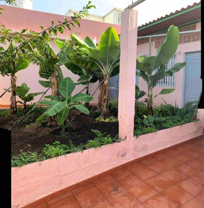 Paz Y Relax En Santa Barbara 110 Villa Icod De Los Vinos Eksteriør bilde